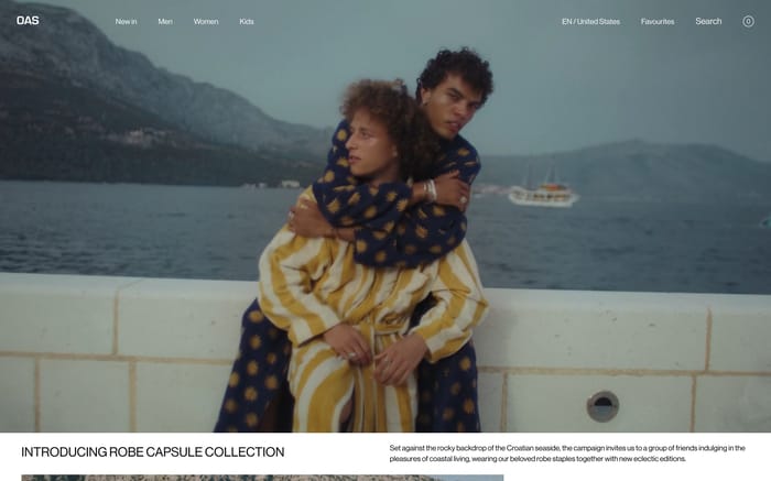 OAS website preview