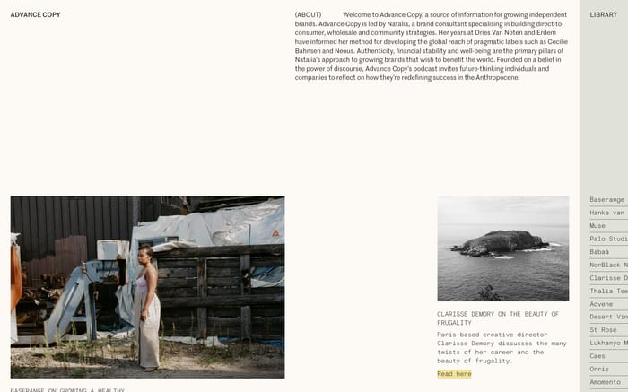 Advance Copy website preview