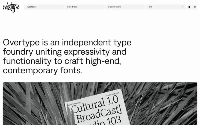 Overtype website preview