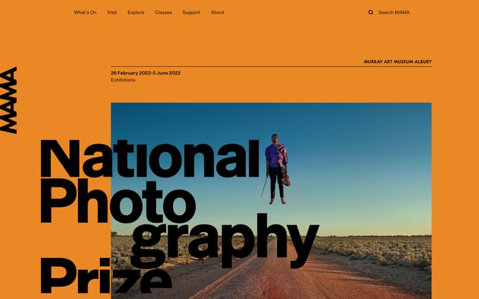 Murray Art Museum Albury website preview