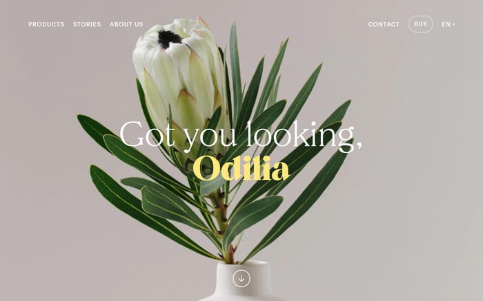 Odilia website preview