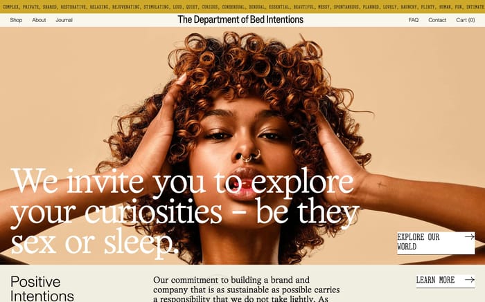 The Department of Bed Intentions website preview