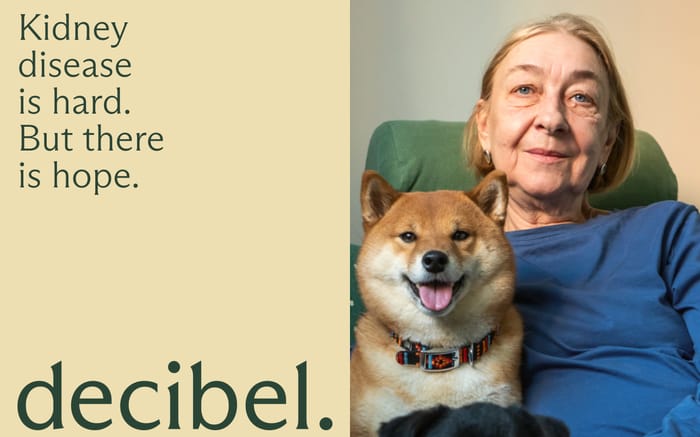 Decibel website preview