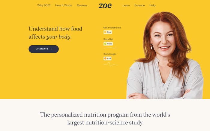 Zoe website preview
