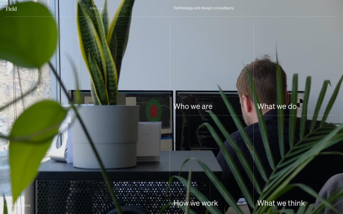 Field website preview
