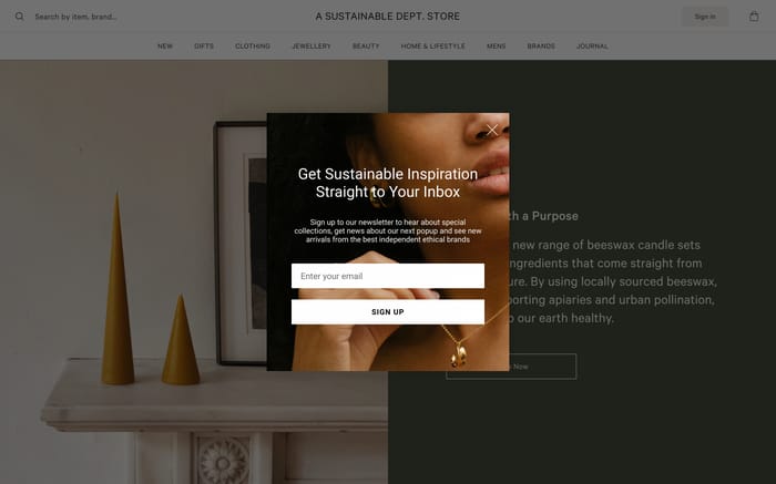 Sustainable dept. Store website preview