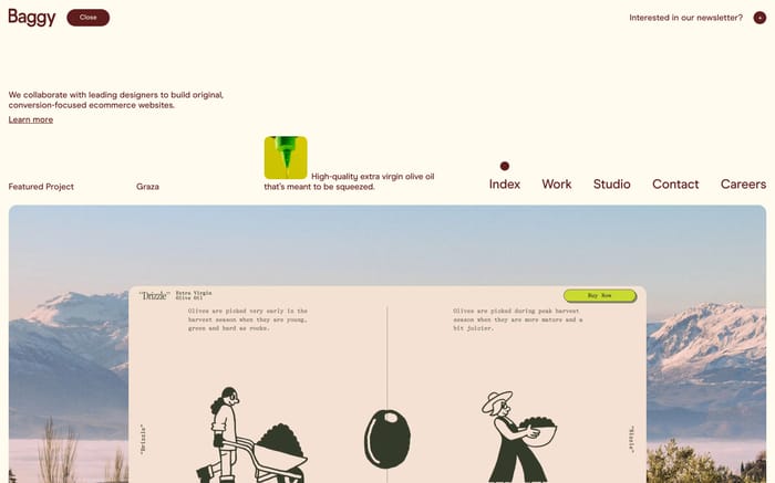 Baggy website preview