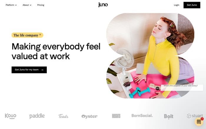 Juno website preview