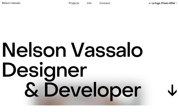Nelson vassalo website preview