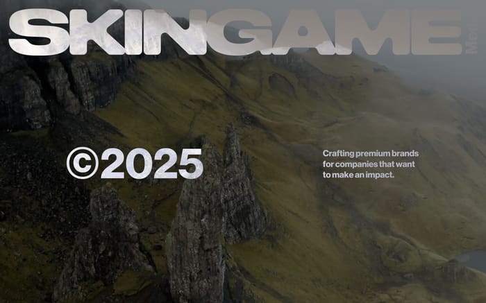 SkinGame Media website preview