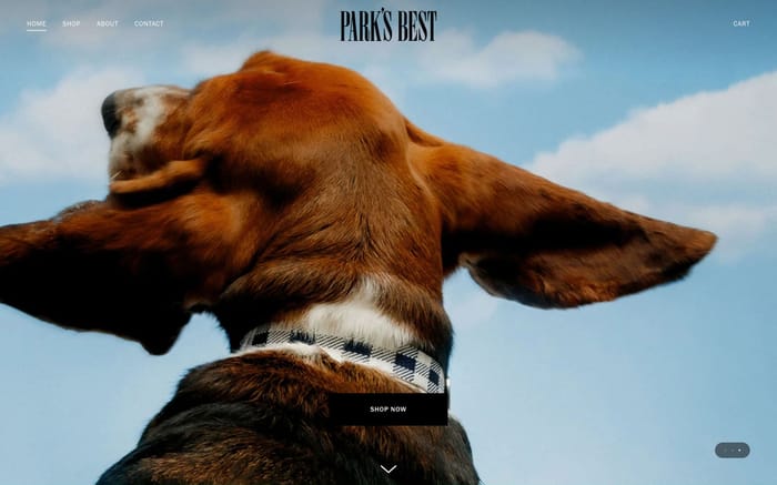 Park's Best website preview