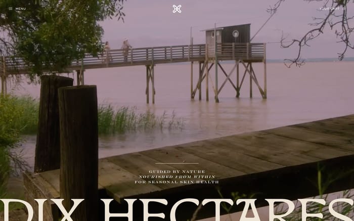 Dix Hectares website preview
