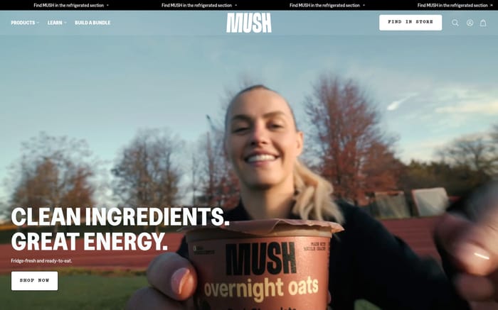 Mush website preview