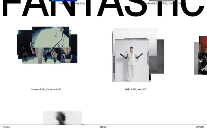 Fantastic website preview