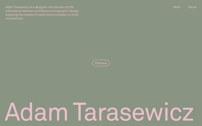 Adam Tarasewicz website preview