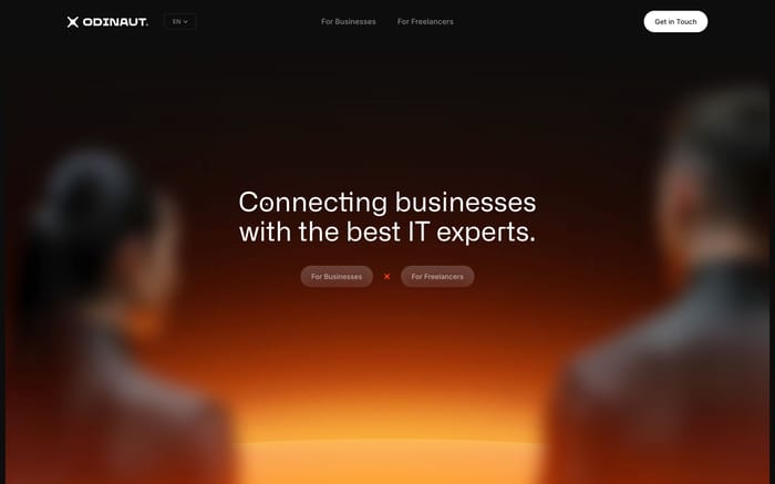 Odinaut website preview