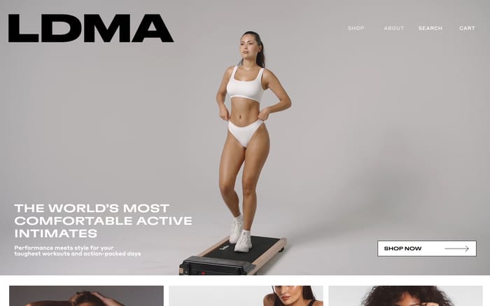 LDMA website preview