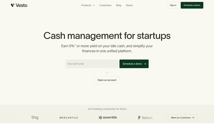 Vesto website preview