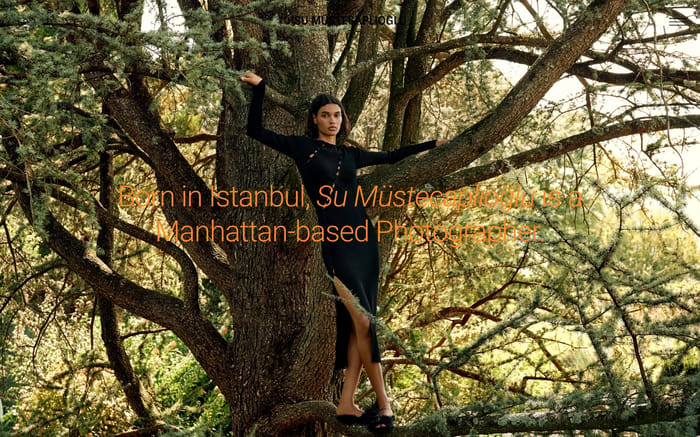 Su Mustecaplioglu website preview