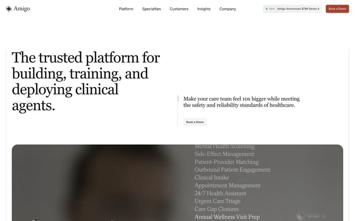 Amigo website preview