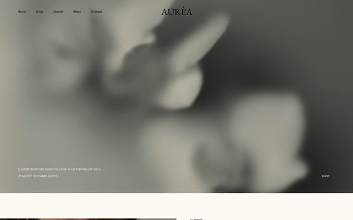 Aurea website preview