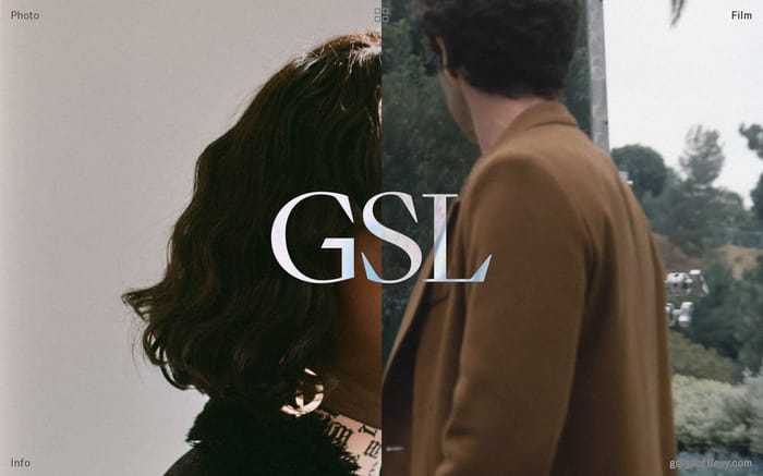 Geoff Levy website preview
