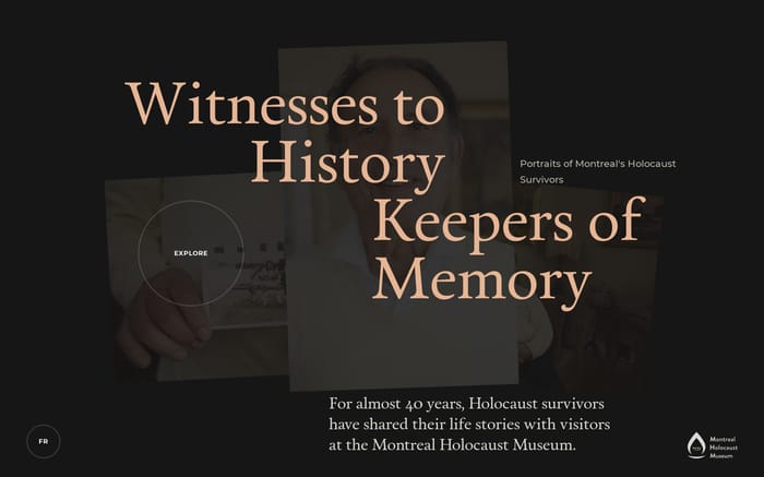 Witnesses to History, Keepers of Memory website preview