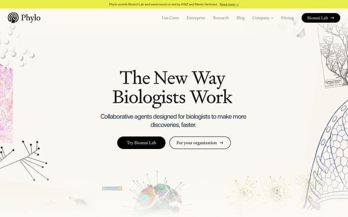 Phylo website preview