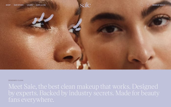 Saie website preview
