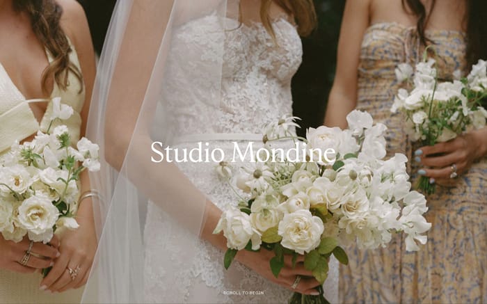 Studio Mondine website preview