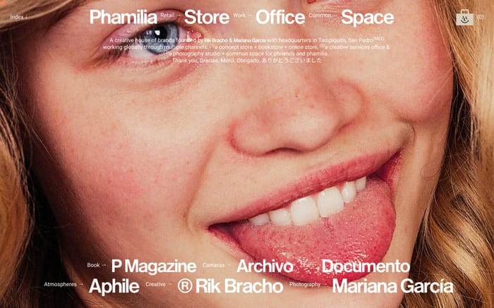 Phamilia website preview