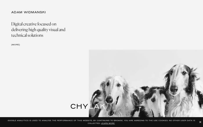Adam Widmanski website preview
