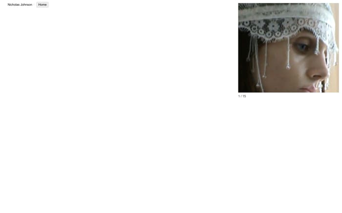 Nicholas Johnson website preview