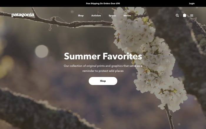 Patagonia website preview