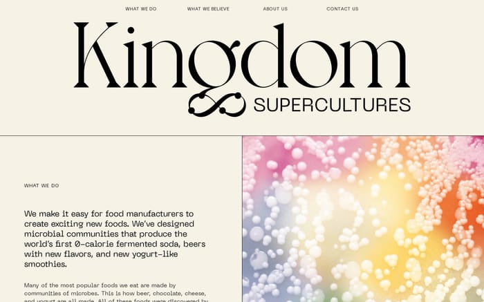 Kingdom Supercultures website preview