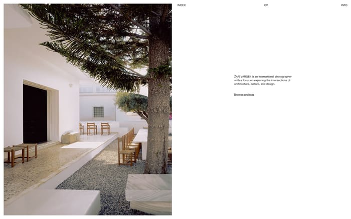Zan Vargek website preview