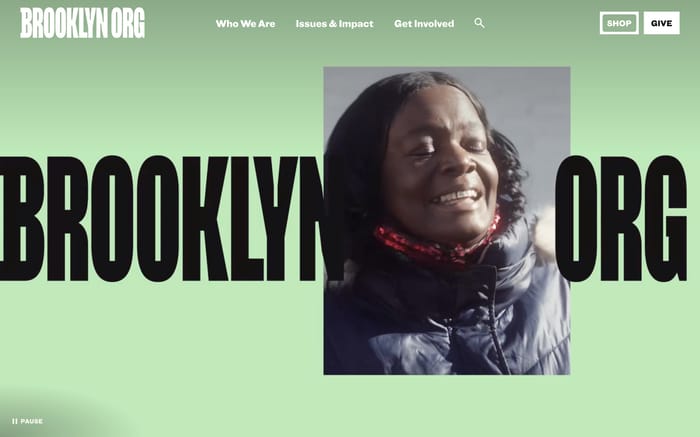 Brooklyn Org website preview