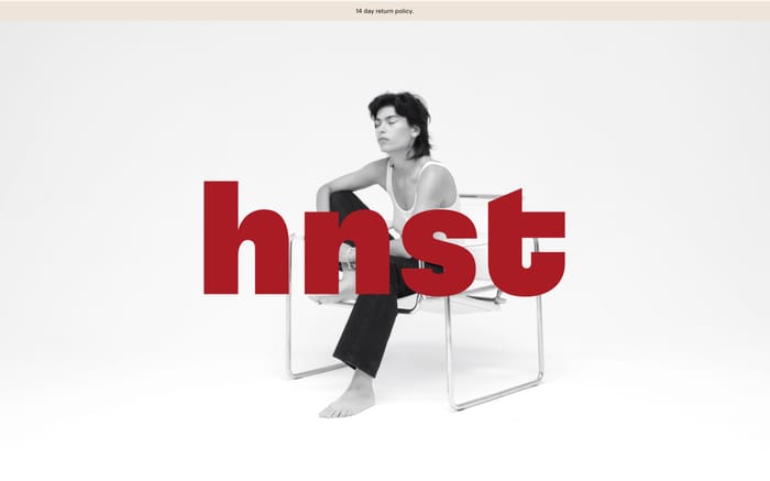 Hnst studio website preview