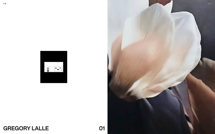 Thomas Monavon website preview