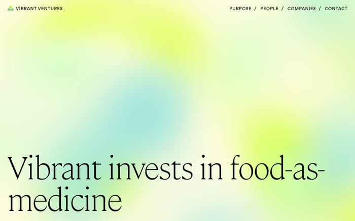 Vibrant ventures website preview