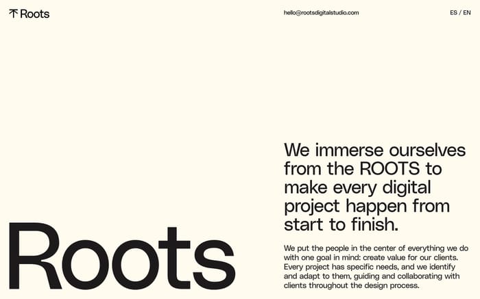 Roots Digital Studio website preview