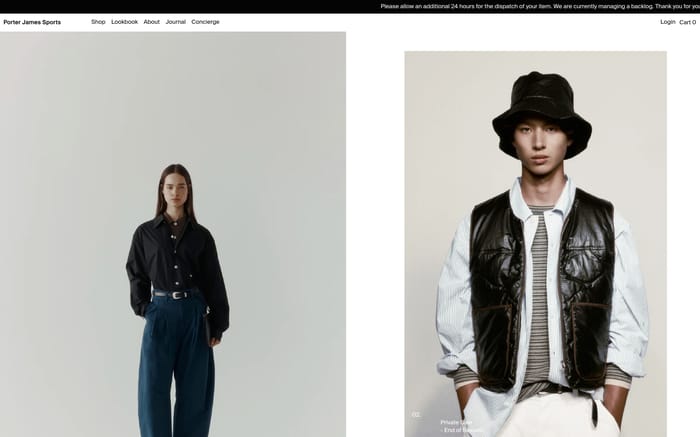 Porter James Sports website preview