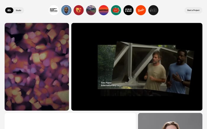 ED. website preview