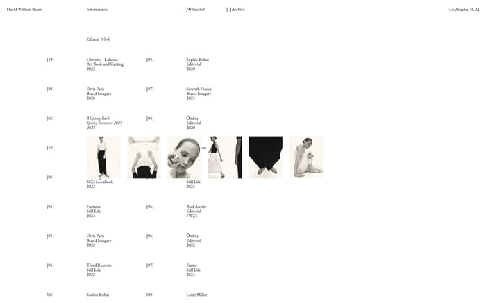 David William Baum website preview