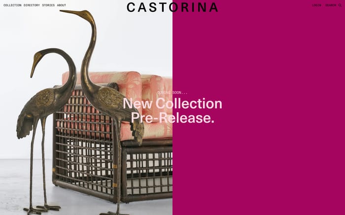 Castorina website preview