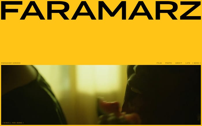 Faramarz Gosheh website preview