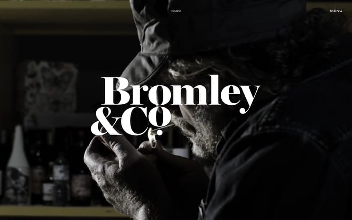Bromley&Co website preview