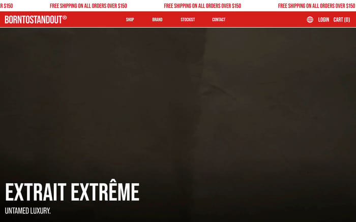 Borntostandout website preview