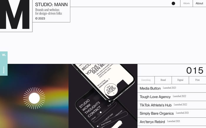 Studio: Mann website preview