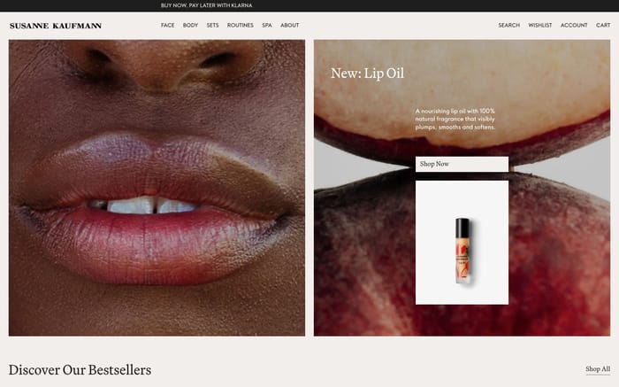 Susanne Kaufmann website preview